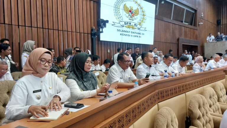 Pj. Bupati Barito Selatan Ikuti Rapat Kerja dan Rapat Dengar Pendapat Bersama DPR RI